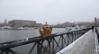 4P6A3599_web.jpg
