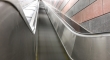 4P6A3703_web.jpg